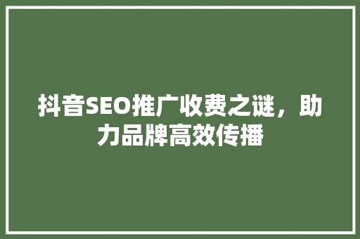 抖音SEO推广收费之谜，助力品牌高效传播