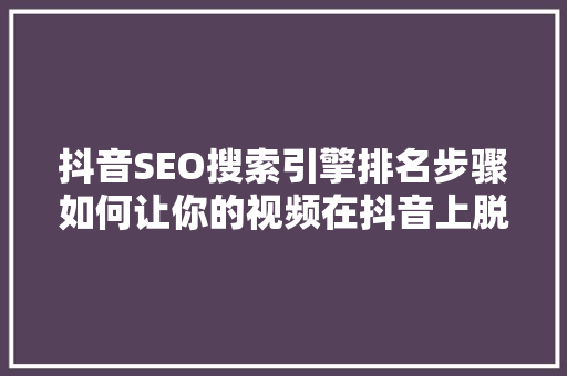 抖音SEO搜索引擎排名步骤如何让你的视频在抖音上脱颖而出