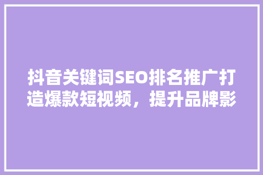 抖音关键词SEO排名推广打造爆款短视频，提升品牌影响力