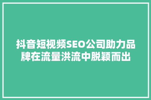抖音短视频SEO公司助力品牌在流量洪流中脱颖而出
