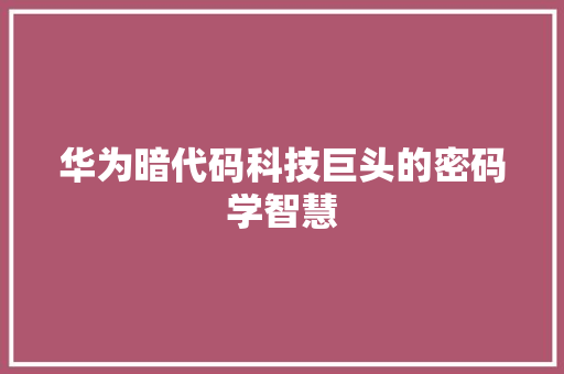 华为暗代码科技巨头的密码学智慧