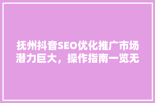 抚州抖音SEO优化推广市场潜力巨大，操作指南一览无遗