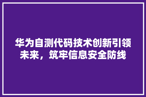华为自测代码技术创新引领未来，筑牢信息安全防线