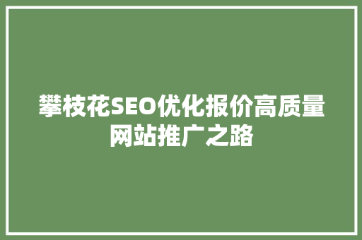 攀枝花SEO优化报价高质量网站推广之路