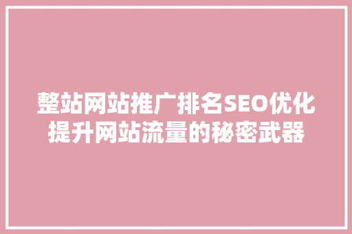 整站网站推广排名SEO优化提升网站流量的秘密武器