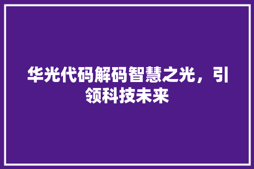 华光代码解码智慧之光，引领科技未来