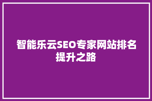 智能乐云SEO专家网站排名提升之路