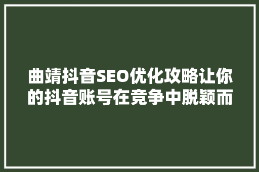 曲靖抖音SEO优化攻略让你的抖音账号在竞争中脱颖而出