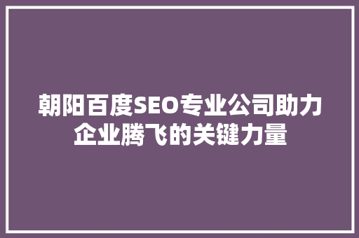 朝阳百度SEO专业公司助力企业腾飞的关键力量