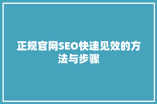 正规官网SEO快速见效的方法与步骤