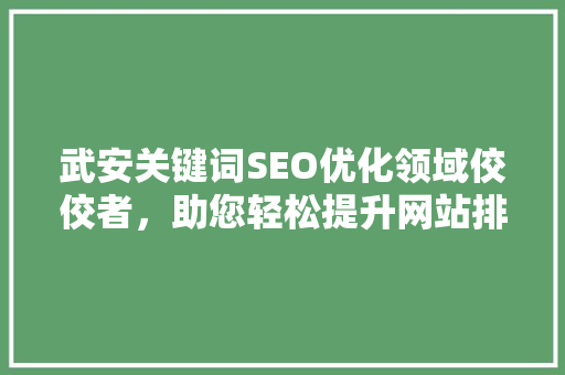 武安关键词SEO优化领域佼佼者，助您轻松提升网站排名