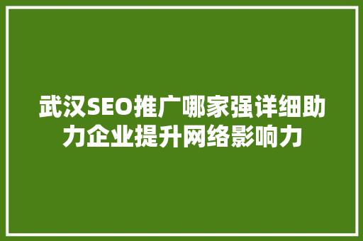 武汉SEO推广哪家强详细助力企业提升网络影响力