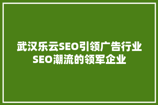 武汉乐云SEO引领广告行业SEO潮流的领军企业