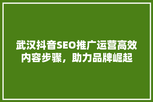 武汉抖音SEO推广运营高效内容步骤，助力品牌崛起