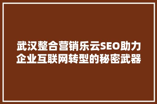 武汉整合营销乐云SEO助力企业互联网转型的秘密武器