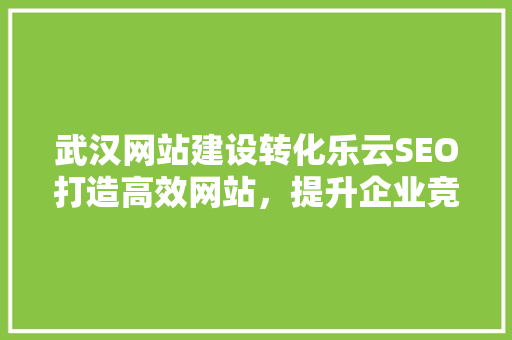 武汉网站建设转化乐云SEO打造高效网站，提升企业竞争力