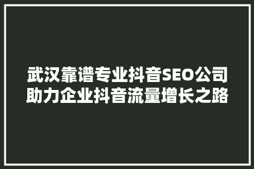 武汉靠谱专业抖音SEO公司助力企业抖音流量增长之路