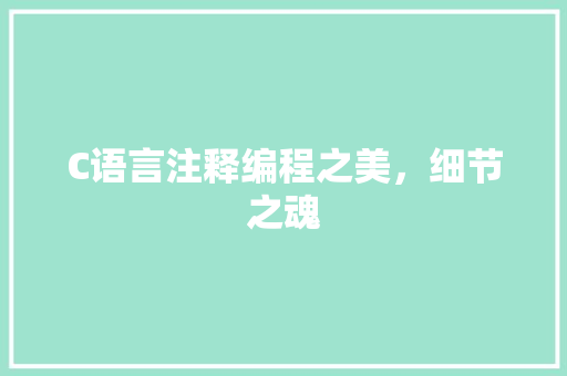 C语言注释编程之美，细节之魂