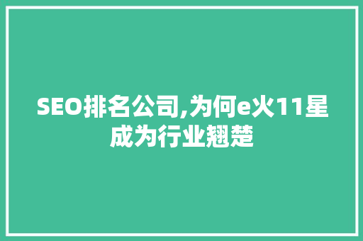 SEO排名公司,为何e火11星成为行业翘楚