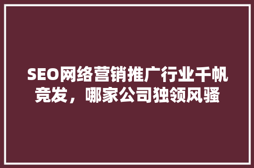 SEO网络营销推广行业千帆竞发，哪家公司独领风骚