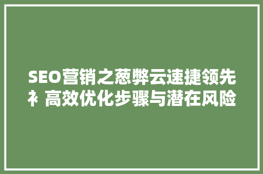 SEO营销之葱弊云速捷领先衤高效优化步骤与潜在风险