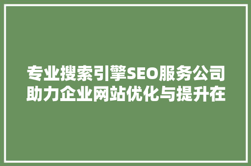 专业搜索引擎SEO服务公司助力企业网站优化与提升在线竞争力