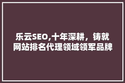 乐云SEO,十年深耕，铸就网站排名代理领域领军品牌