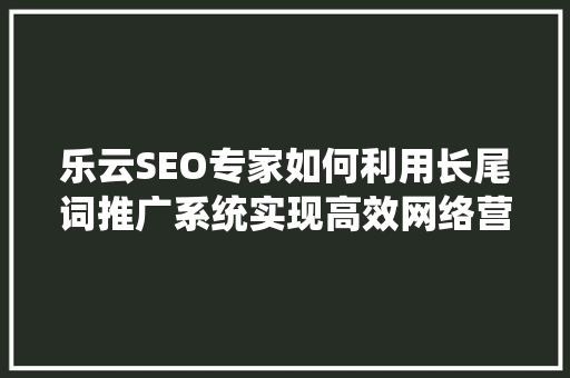 乐云SEO专家如何利用长尾词推广系统实现高效网络营销