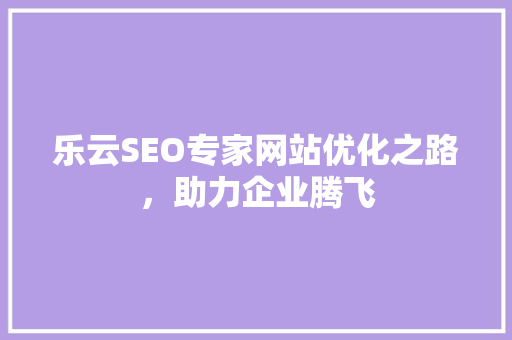 乐云SEO专家网站优化之路，助力企业腾飞