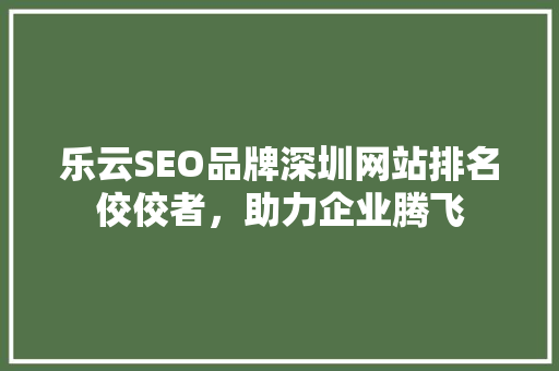 乐云SEO品牌深圳网站排名佼佼者，助力企业腾飞