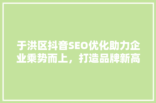 于洪区抖音SEO优化助力企业乘势而上，打造品牌新高度