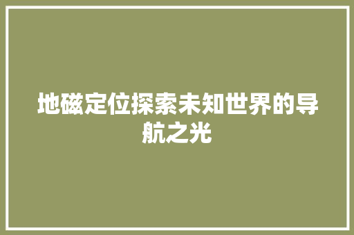 地磁定位探索未知世界的导航之光