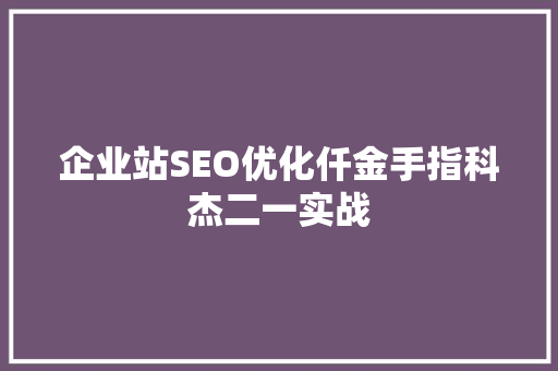 企业站SEO优化仟金手指科杰二一实战  第1张