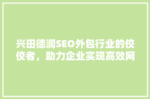 兴田德润SEO外包行业的佼佼者，助力企业实现高效网络营销