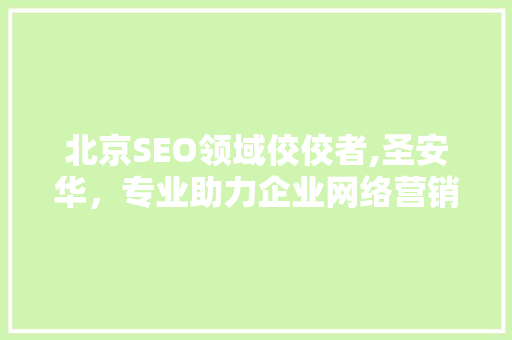 北京SEO领域佼佼者,圣安华，专业助力企业网络营销  第1张