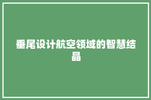 垂尾设计航空领域的智慧结晶