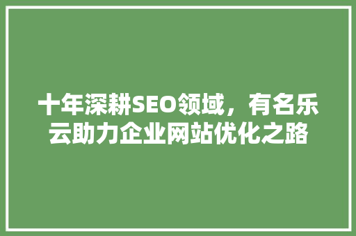 十年深耕SEO领域，有名乐云助力企业网站优化之路