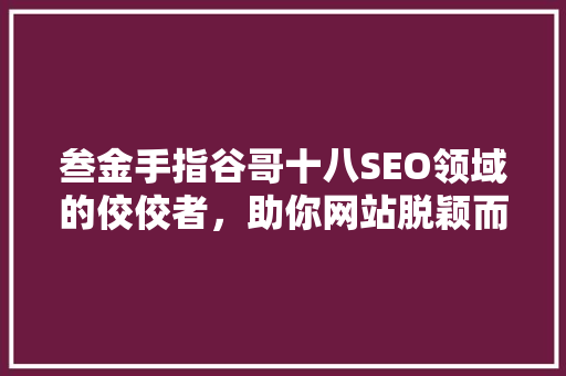 叁金手指谷哥十八SEO领域的佼佼者，助你网站脱颖而出