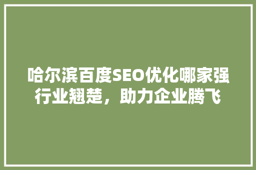 哈尔滨百度SEO优化哪家强行业翘楚，助力企业腾飞  第1张