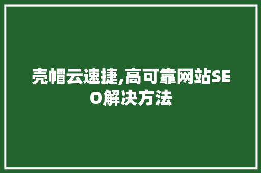 壳帽云速捷,高可靠网站SEO解决方法