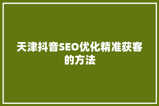 天津抖音SEO优化精准获客的方法