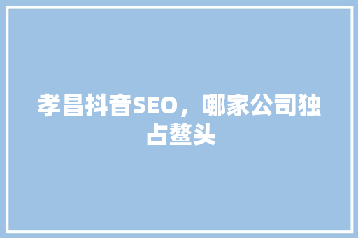 孝昌抖音SEO，哪家公司独占鳌头