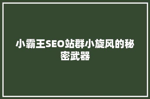 小霸王SEO站群小旋风的秘密武器