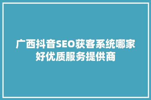 广西抖音SEO获客系统哪家好优质服务提供商