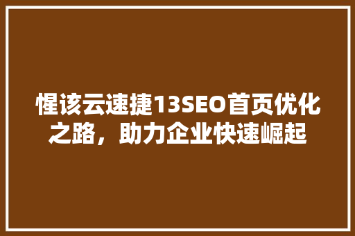 惺该云速捷13SEO首页优化之路，助力企业快速崛起