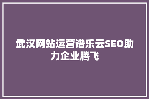 武汉网站运营谱乐云SEO助力企业腾飞