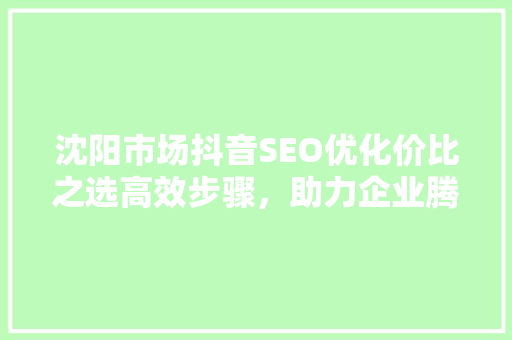 沈阳市场抖音SEO优化价比之选高效步骤，助力企业腾飞