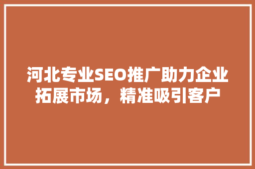 河北专业SEO推广助力企业拓展市场，精准吸引客户