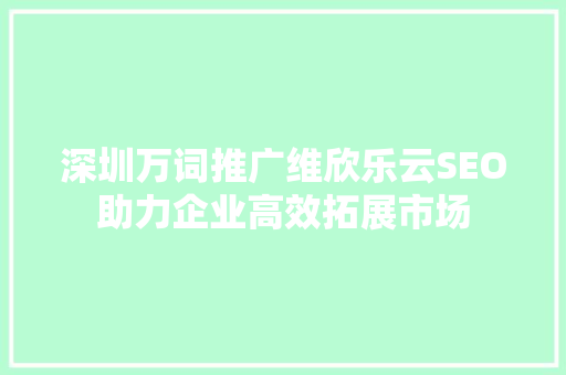 深圳万词推广维欣乐云SEO助力企业高效拓展市场