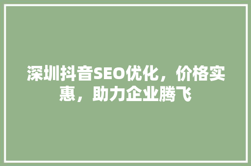 深圳抖音SEO优化，价格实惠，助力企业腾飞  第1张